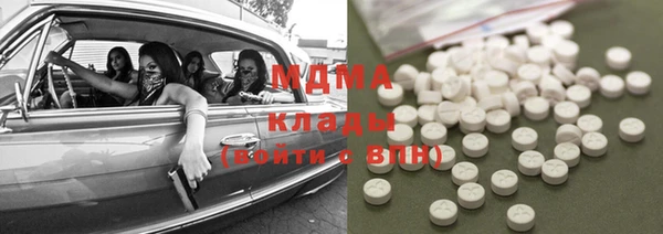 индика Богданович