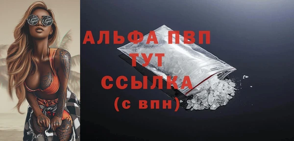 спиды Богородицк