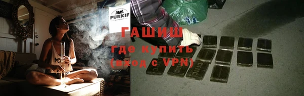 спиды Богородицк