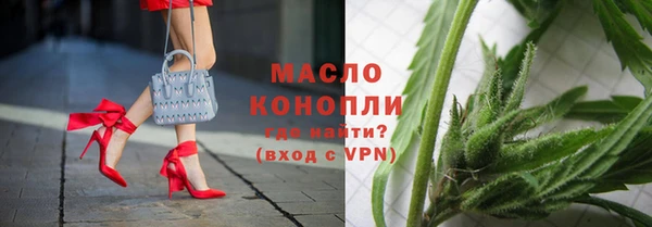 индика Богданович