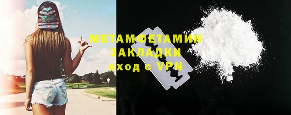индика Богданович