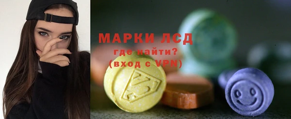 индика Богданович