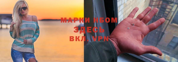 индика Богданович