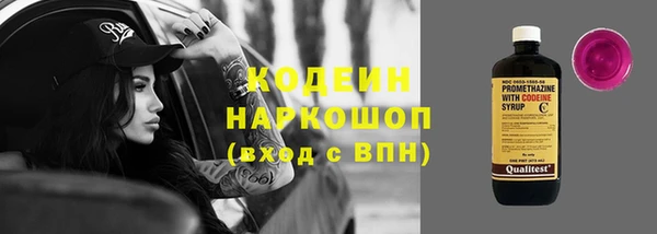 индика Богданович