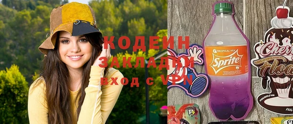 спиды Богородицк