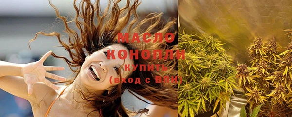 индика Богданович