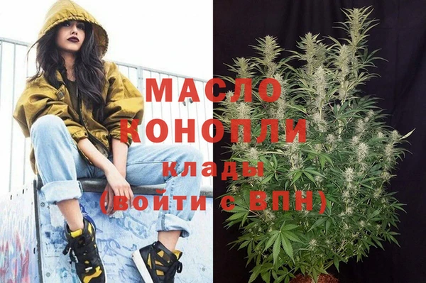 индика Богданович