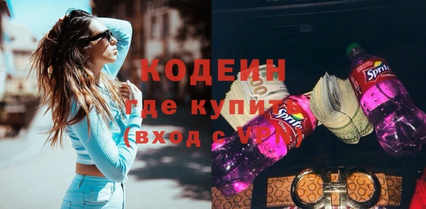 спиды Богородицк