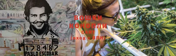 спиды Богородицк
