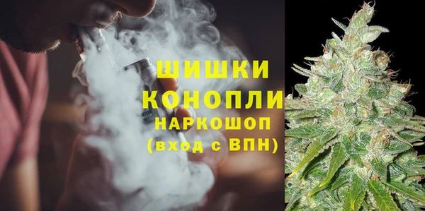 спиды Богородицк