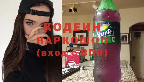 спиды Богородицк
