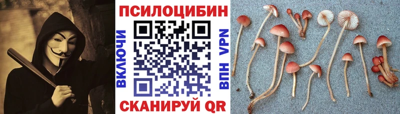 Галлюциногенные грибы Cubensis  цены наркотик  Миасс 